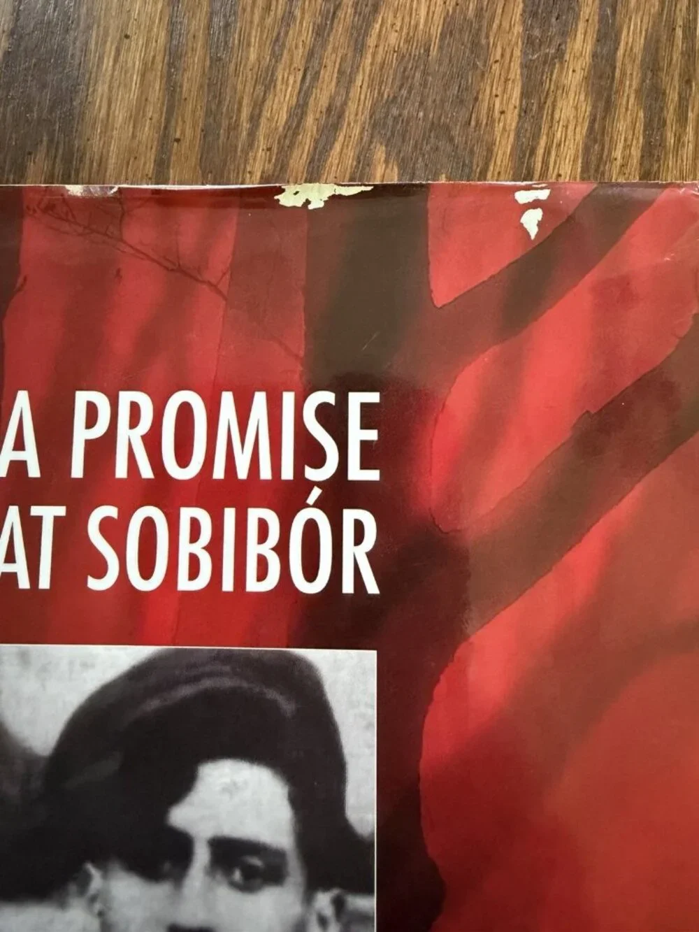 A‎ Promise at Sobibór: A Jewish Boy's Story of Revolt and Survival in Nazi: VG